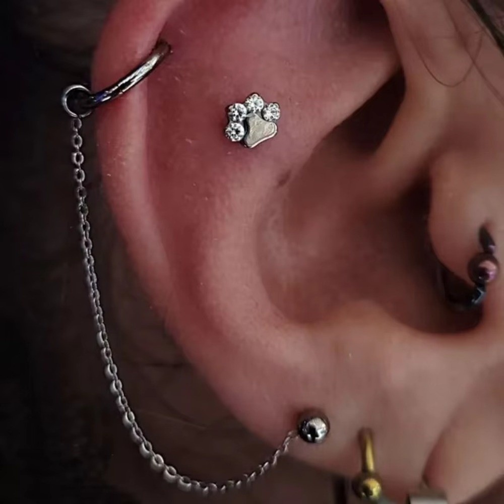 Titan-Nasenketten: Dreilagige  – Body Jewelry Ear Piercing Bewertung und Preis