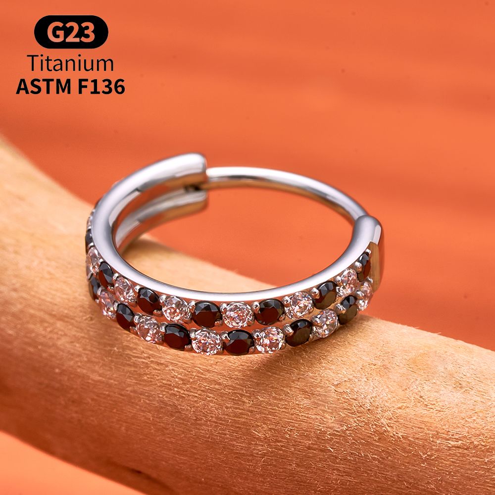 G23 Titan Facettierter CZ Segm – Conch Earring Hoop Bewertung und Preis