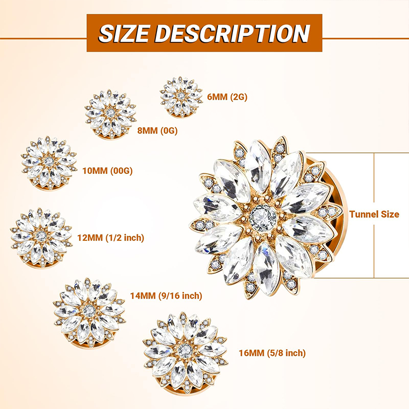 Ohrstecker und -tunnel mit Zir – Body Jewelry Ear Piercing Bewertung und Preis