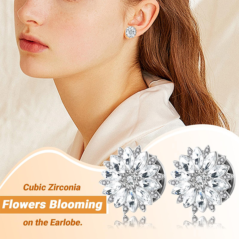 Ohrstecker und -tunnel mit Zir – Body Jewelry Ear Piercing Bewertung und Preis