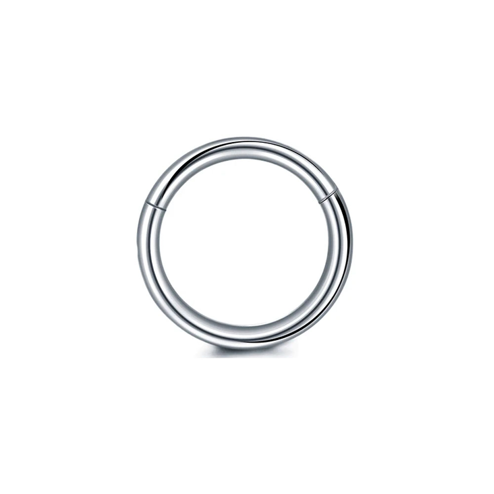 316L Chirurgenstahl Clicker Se – Conch Earring Hoop Bewertung und Preis