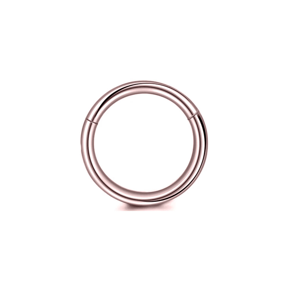 316L Chirurgenstahl Clicker Se – Conch Earring Hoop Bewertung und Preis